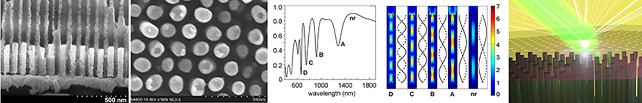 Gold Nanorod Arrays